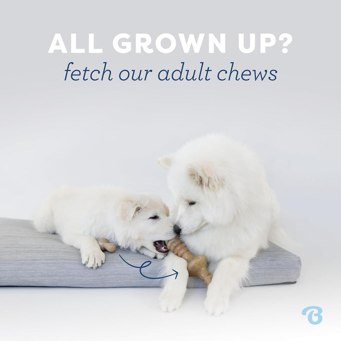 Puppy 2-Pack Dental Chew/Wishbone Dog Chew Toys, Real Bacon