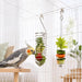 2 Pcs Bird Cage Food Holder, Bird Cage Feeder for Vegetable & Fruit