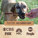 12" Bully Sticks for Dogs - Large, Medium and Small Dog Chew