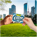 EXTRA Gum Polar Ice Sugarfree Mint Chewing Gum Mega Packs, 35 Count, 6 Pack