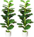 2Pack Artificial Fiddle Leaf Fig Tree, 35" Faux Ficus Lyrata Plant with Pot, Floor Plant Outdoor Artificial Plant, Suitable for Living Room, Office, Bedroom Decor