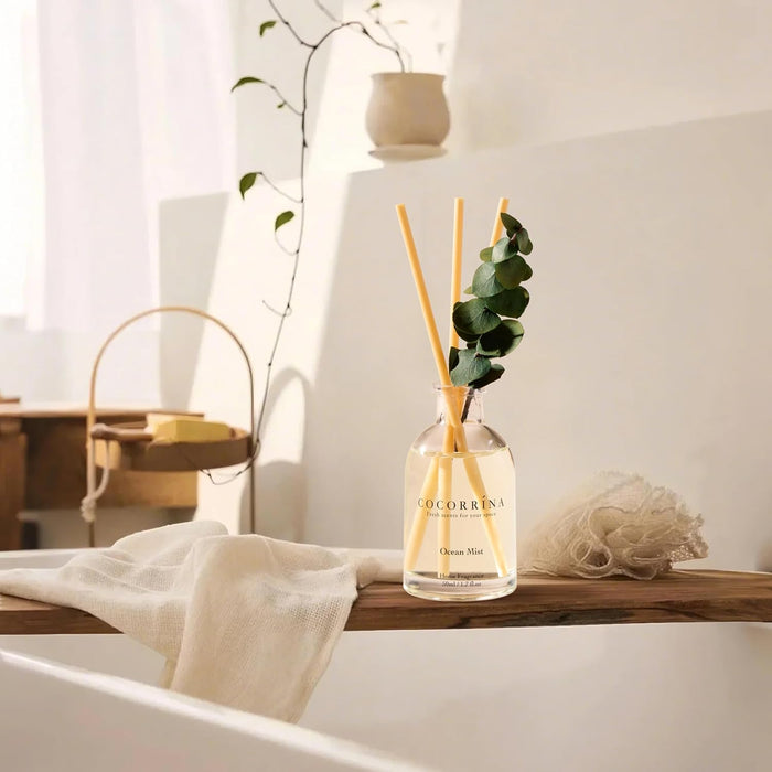Reed Diffuser Set of 3 with Dried Eucalyptus for Home & Office