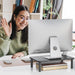 Dual Monitor Stand for Desk, Adjustable Laptop Riser, up to 44 lbs