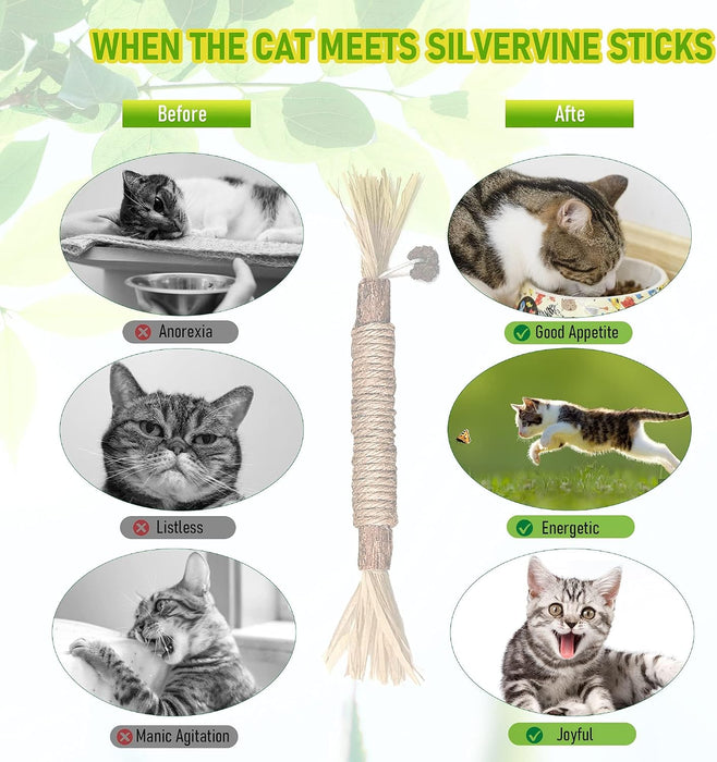 Silvervine Sticks Cat Chew Toys for Indoor Cats Dental Care Teeth Cleaning, Natural Kitten & Cat Teething Toys for Health, Cat Chew Stick Suitable for All Breeds of Aggressive Chewers Cat