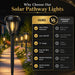 12 Pack Solar Lights Outdoor, Solar Pathway Lights Auto On/Off Waterproof Garden Landscape Lighting for Path, Yard, Walk