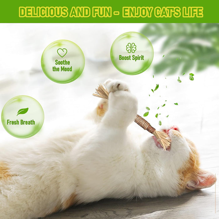 Silvervine Sticks Cat Chew Toys for Indoor Cats Dental Care Teeth Cleaning, Natural Kitten & Cat Teething Toys for Health, Cat Chew Stick Suitable for All Breeds of Aggressive Chewers Cat