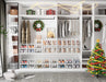 Clear Shoe Storage Boxes, Stackable Shoe Organizer for Closet