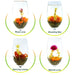 Blooming Tea Flowers - 12pcs Individually Sealed Flowering Balls - Hand-Tied Natural Green Tea Leaves & Edible Flowers -