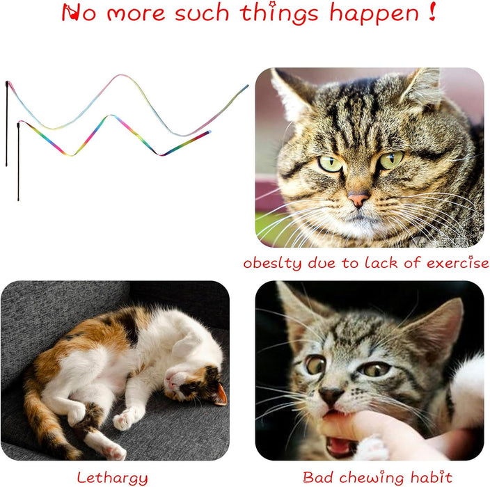 Cat Wand Toys Interactive Kitten Toys for Indoor Cats-2Pcs