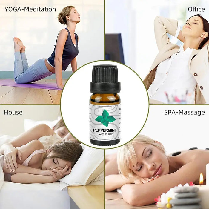 AromaCraft Essential Oil Blends Set