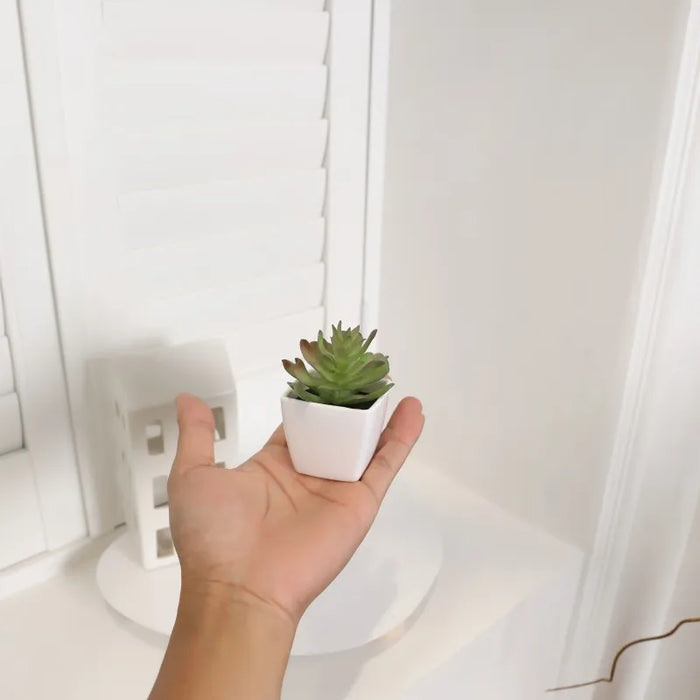 Artificial succulent small potted plants