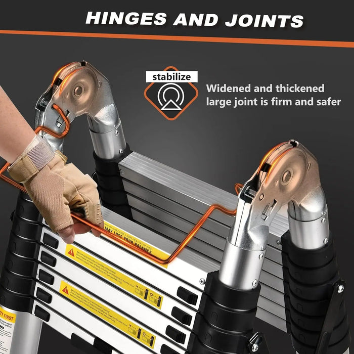 Folding Ladder