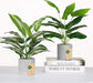 2 Pack 16" Indoor Fake Plants for Desk Shelf Bathroom Decor