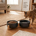 Ceramic Dog and Cat Bowl Set with Wooden Stand, Modern Cute Weighted Food Water Set for Small Size Dogs (13.5OZ) & Medium Sized Dogs (28.7OZ) & Cats (1.7 Cups, 2 × Black)