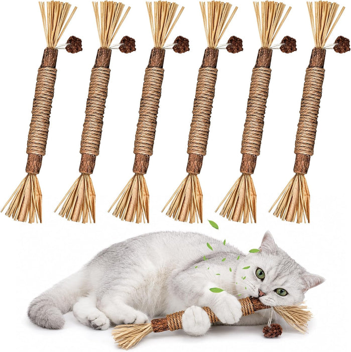 Silvervine Sticks Cat Kitten Chew Toys for Indoor Cats Teeth Cleaning