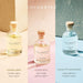 Reed Diffuser Set of 3 with Dried Eucalyptus for Home & Office