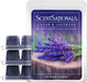 Cedar & Lavender Scented Wax Melts 10oz (24 Cubes)
