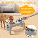 Elevated Dog Bowls for Small Medium Dogs, 3 Height Adjustable Raised Stand with 2 Thick 6" Stainless Steel Food Bowls, Non-Slip Feeder Adjusts to 2.75", 6", 7.5", Grey