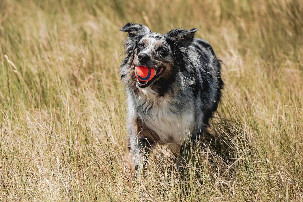 Ultra Ball Dog Toy, Durable Rubber, Medium 2.5-in, 2 Pack