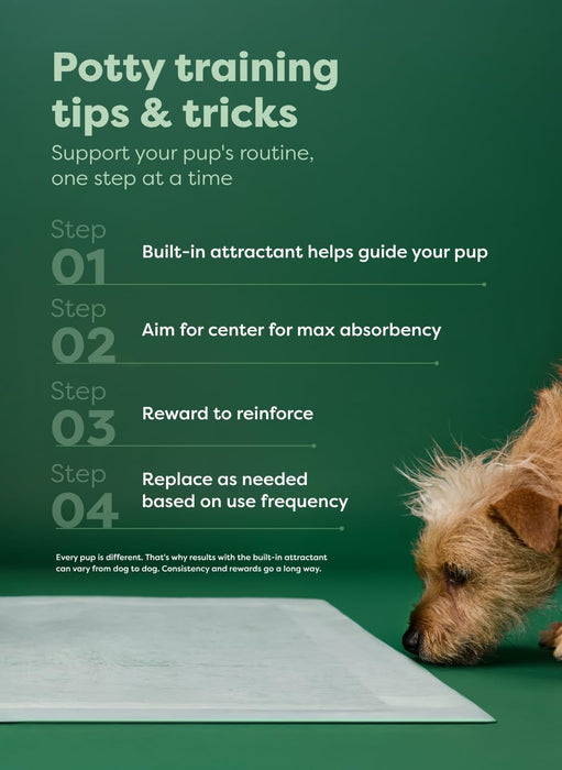 XL Dog & Puppy Pee Pads, Discreet Top, Max Absorbency, 40CT