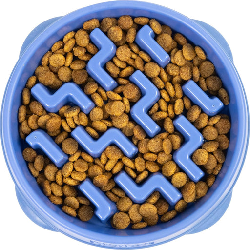 Medium Slow-Feeder Pet Bowl