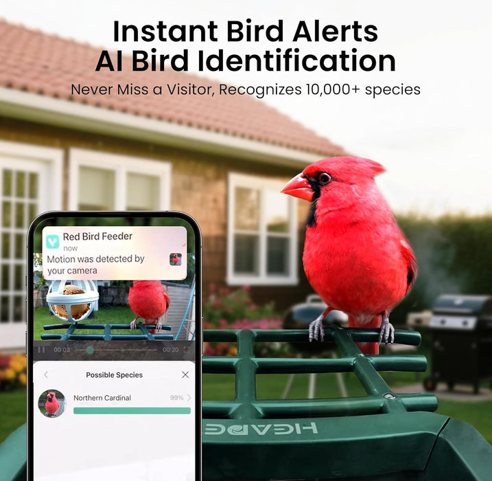 Smart Bird Feeder with Camera Solar Powered, 2K HD Video, AI Bird Species Identification, Instant Arrival Alerts, Weathe