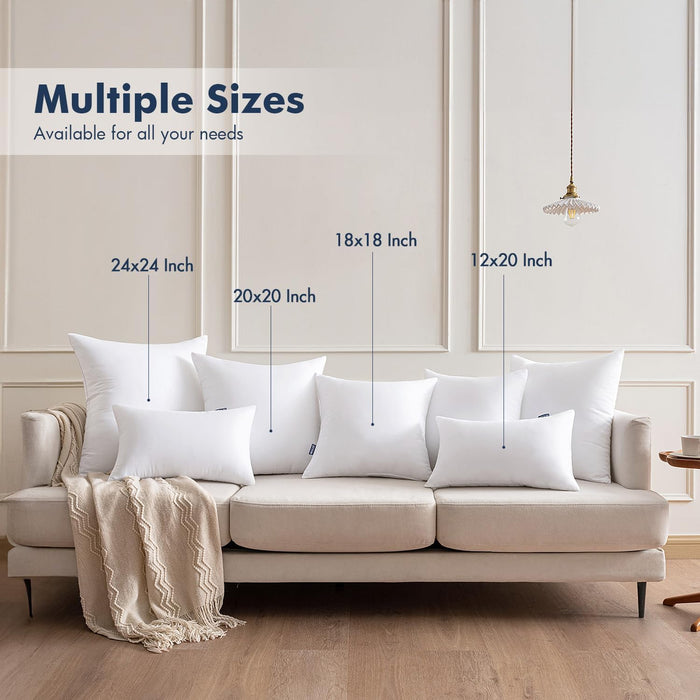 18x18 Throw Pillows Inserts 2 Pack, Decorative Pillows for Couch Bed