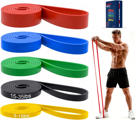 Pull Up Bands, Resistance Bands Set, Exercise Workout Bands for Men & Women, Ideal for Body Stretching, Physical Therapy