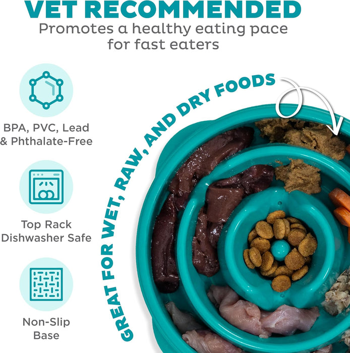 Fun Feeder Slo Bowl – Medium 2‑Cup Capacity, Slow Feeding, Small to Medium Dogs & Cats, Non-Slip, Turquoise, Drop Patter