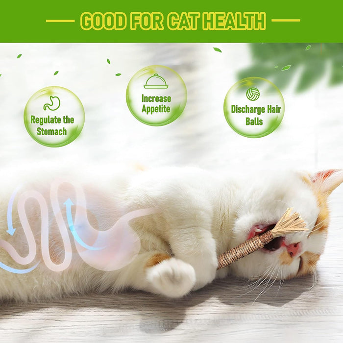Silvervine Sticks Cat Chew Toys for Indoor Cats Dental Care Teeth Cleaning, Natural Kitten & Cat Teething Toys for Health, Cat Chew Stick Suitable for All Breeds of Aggressive Chewers Cat