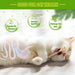 Silvervine Sticks Cat Chew Toys for Indoor Cats Dental Care Teeth Cleaning, Natural Kitten & Cat Teething Toys for Health, Cat Chew Stick Suitable for All Breeds of Aggressive Chewers Cat