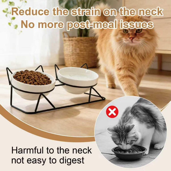 Elevated Tilted Cat Bowls for Indoor Cats，Raised Ceramic Cat Bowl Elevated 15°,Pet Feeding Bowls for Food and Water Anti