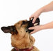 Tartar Control Dog Dental Kit, Beef Flavor, 3-Piece