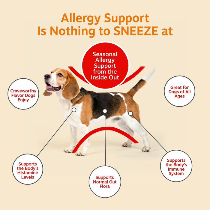 Dog Allergy Chews - Dog Allergy Relief, Lamb, 90 Ct