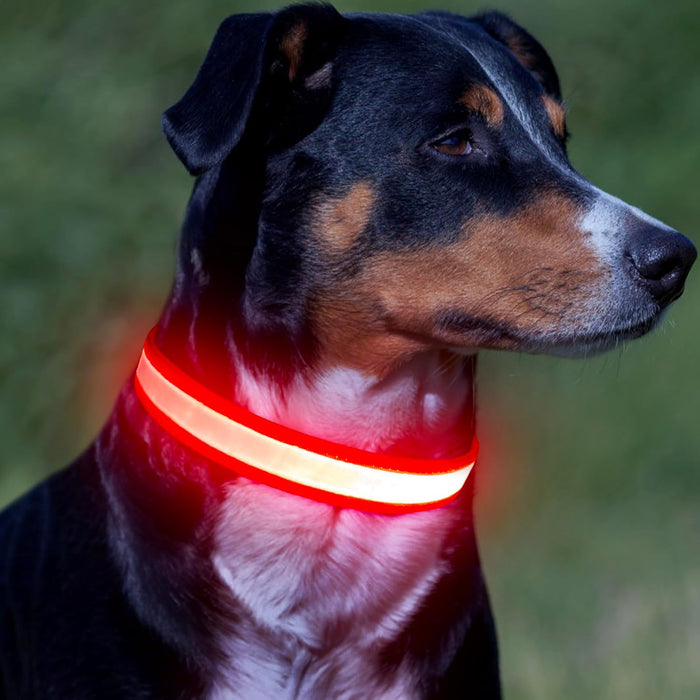 LED Dog Collar, Light Up Dog Collar Adjustable USB Rechargeable Super Bright Safety Light Glowing Collars for Dogs(Medium,Red)