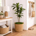 48 in Artificial Dracaena Real Touch Plant with Pot