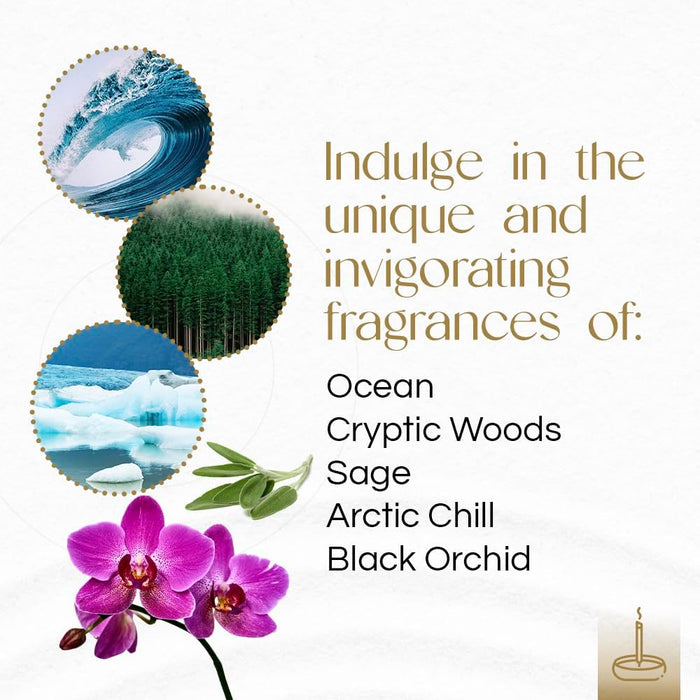 - Extra Rich Scented Incense Sticks Variety Pack - Non-Toxic 10” Slow Burn Aromatic Sticks - Ocean, Cryptic Woods, Sage,