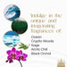 - Extra Rich Scented Incense Sticks Variety Pack - Non-Toxic 10” Slow Burn Aromatic Sticks - Ocean, Cryptic Woods, Sage,