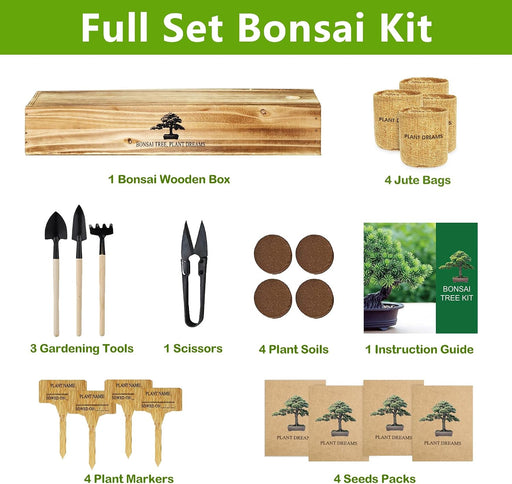Bonsai Tree Kit, Bonsai Starter Kit with Seeds & Tools, Tree Live Plants Indoor, Gardening Gifts for Women Men Mom Fathe