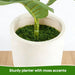 2Pack Artificial Fiddle Leaf Fig Tree, 35" Faux Ficus Lyrata Plant with Pot, Floor Plant Outdoor Artificial Plant, Suitable for Living Room, Office, Bedroom Decor