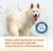 S3 PYO Medicated Dog Shampoo with 3% Chlorhexidine for Dogs – Antibacterial & Antiseptic Yeast Infection Treatment For Dogs & Cats, Clinically Proven, 6.7 fl oz