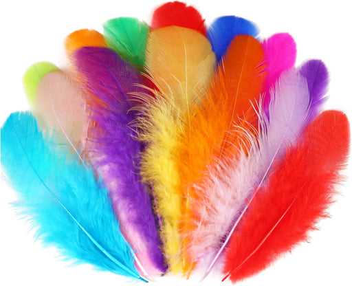 Colorful Craft Supplies Feathers Bulk for Crafting,300Pcs,3-5inch