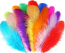Colorful Craft Supplies Feathers Bulk for Crafting,300Pcs,3-5inch