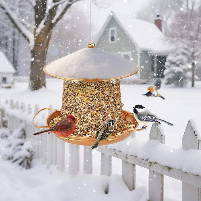 Bird Feeder, Wild Bird Feeders, Metal Lantern-Shaped