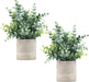 2 Pack Small Fake Plants Eucalyptus Potted,Sage Green