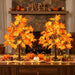 Fall Decorations for Home Fall Maple Tree Fall Decor Fall Trees