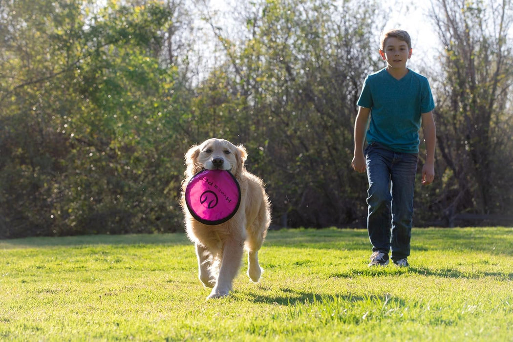 Flippy Flopper Flying Disc Soft Dog Toy 9 Inch, Floats, 5 Pack
