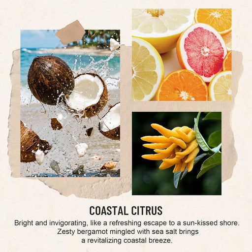 Reed Diffuser for Home, Coastal Citrus Scent Diffuser 2 Pack 8Fl Oz
