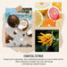 Reed Diffuser for Home, Coastal Citrus Scent Diffuser 2 Pack 8Fl Oz