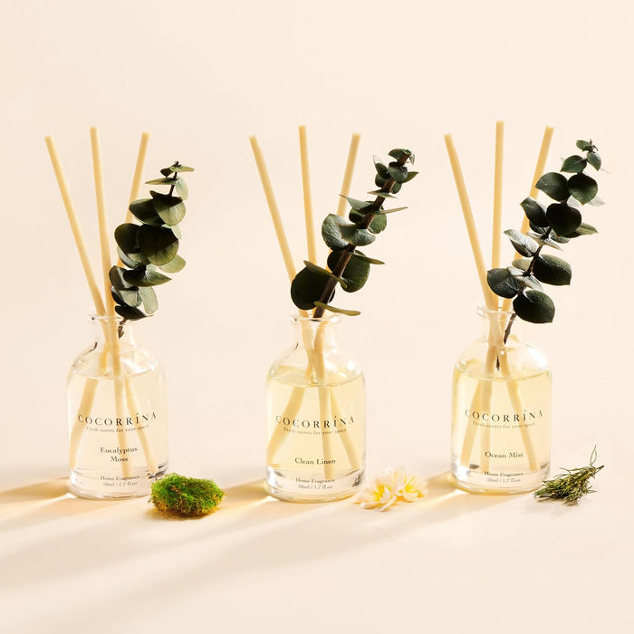Reed Diffuser Set of 3 with Dried Eucalyptus for Home & Office